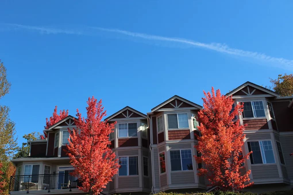 exterior images of homes with trees