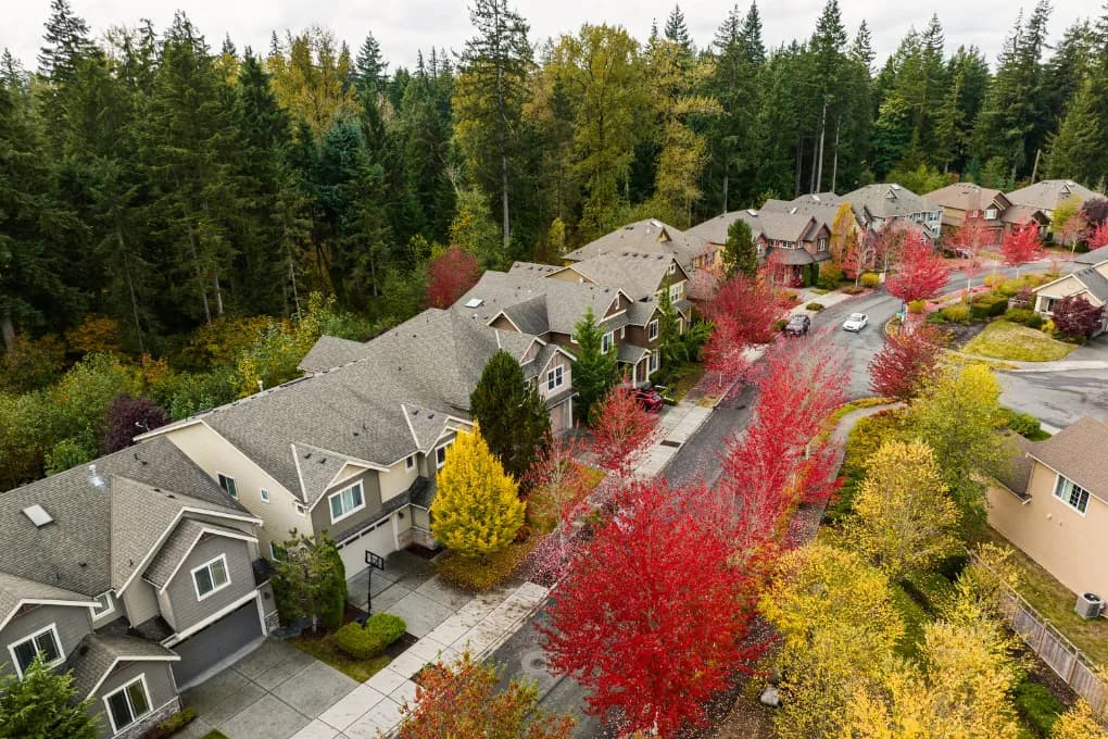 overhead image of houses along a street
