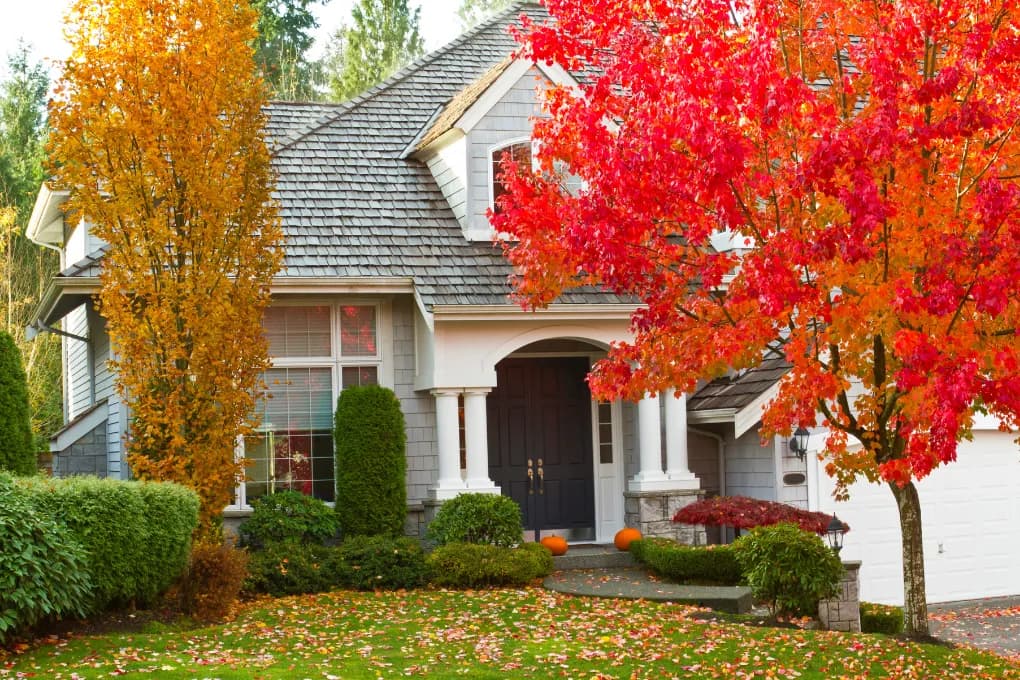 exterior image of a house