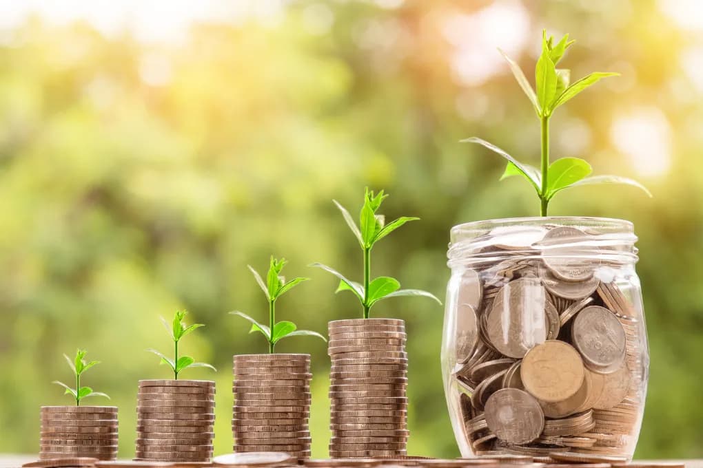 image of stacked coins signaling growth of money